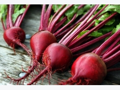 Beetroot Cultivation Information Guide