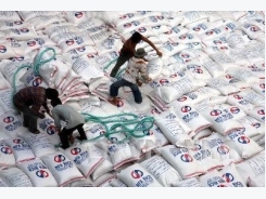 Rice prices up in domestic, foreign markets