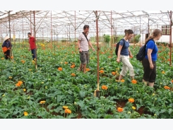 High time for high-tech farming in Vietnam