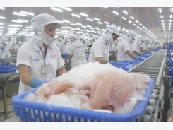 Tra fish export to EU increasingly difficult