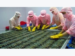 Vietnam is 4th in shrimp imports to US market for April