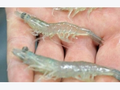 Tru Shrimp announces first $50 million production facility