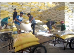 New decree to help rice exporters