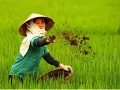 Demand for organic fertiliser rises in VN