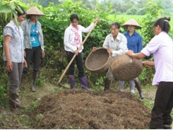 Cách ủ phân hữu cơ nhanh mục