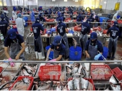 Seafood exports face barriers