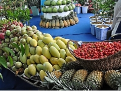 Prices fall as fruit floods City markets