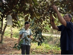 Vietnam makes initial results in organic agricultural development