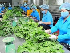 Capital solutions for agricultural cooperatives