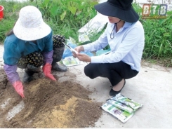 Xử lý rơm rạ sau thu hoạch