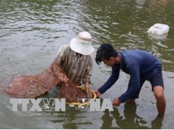 Seminar talks development of shrimp farming