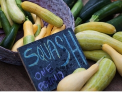 10 Summer Squash Varieties: Some You Know, Some You Don’t