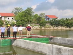 Hiep Hoa applies hi-tech in intensive fish farming