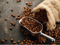 Asia Coffee-Vietnam domestic prices edge lower, Indonesian premiums widen