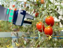Sắp nở rộ ứng dụng robot trong nông nghiệp