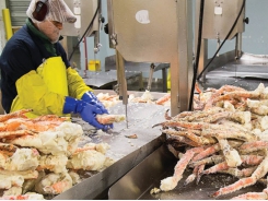 Bên trong nhà máy chế biến hải sản lớn nhất Seattle