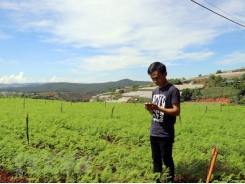 Nông dân trẻ làm vườn từ xa bằng điện thoại thông minh