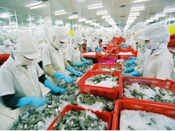 Japanese conglomerate acquires 35 percent of Vietnamese shrimp company