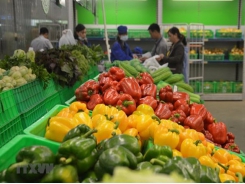 Fruit, vegetable exports bounce back in April