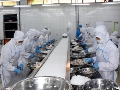 Seafood processing companies lacks skilled labourers