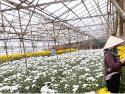 BASF’s light stabiliser for greenhouse films helps Vietnamese farmers