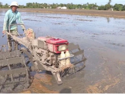 Khuyến cáo lịch thời vụ và các biện pháp canh tác vụ lúa Hè Thu năm 2019