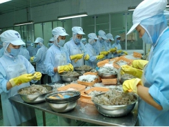 Vietnam maintains top position in shrimp supply to Japan