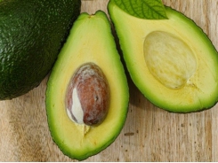 Vietnam strives to bring avocados to US market