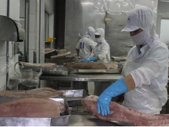 Many advantages for tuna exports to ASEAN