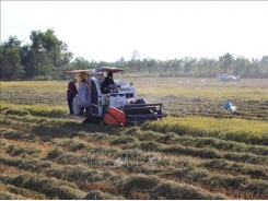 Việt Nam, China look to increase rice trade co-operation