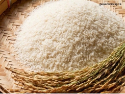 Lộc Trời Group and Tấn Vương Food JSC to export 84,000 tonnes of rice to China