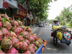 Fruit export challenges await with China's tighter border trade