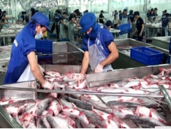 Tra fish exports to Japan skyrocket in four months