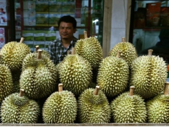 China tightens import standards for Vietnamese fruits