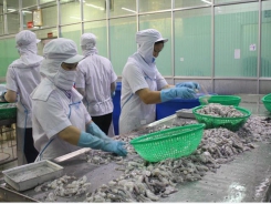 Seafood exporters advised to boost links with Chinese restaurants, hotels