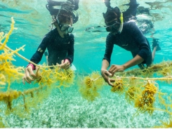 Getting aquaculture right: how conservation science can help