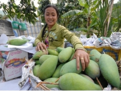 China remains crucial as Vietnam expands fruit exports