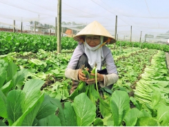 Agricultural products that meet standards will be easier to consume