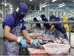 Seafood, textile stocks soar thanks to good business performance