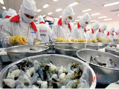 Resolve difficulties in exporting agricultural and seafood products to India