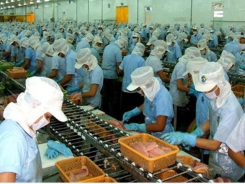 Bright prospects ahead for shrimp exports to US despite COVID-19