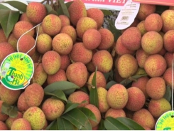 Hải Dương exports first lychees to Japan