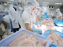 Seafood exports to all core markets saw a decrease in January 2020