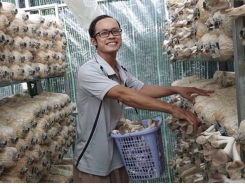 Organic mushroom grower finding stable customers