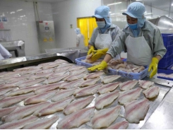 US cuts anti-dumping taxes on Vietnamese catfish products