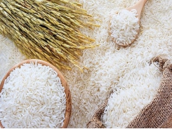 Surpassing Thailand, Vietnamese rice ranks first in world on price