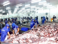 Seafood exports to go up by 10% in Q2