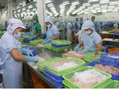 Vietnam seafood industry grasp opportunities from new Covid-19 wave