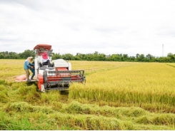 Rice exporter to benefit from the Philippines' tariff reduction