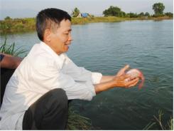 Hiệu Quả Mô Hình Nuôi Cá Diêu Hồng Thương Phẩm Tại Huyện Ninh Sơn